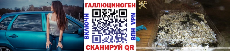 Галлюциногенные грибы Psilocybine cubensis  дарнет шоп  Вольск 