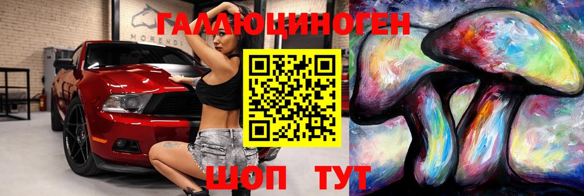 Галлюциногенные грибы прущие грибы  Вольск 