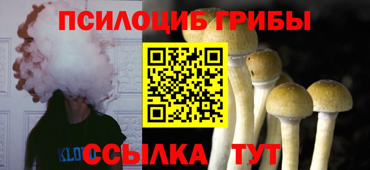 Галлюциногенные грибы GOLDEN TEACHER Вольск